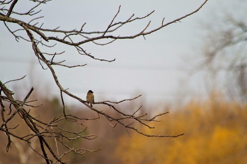 20140406-194921.jpg